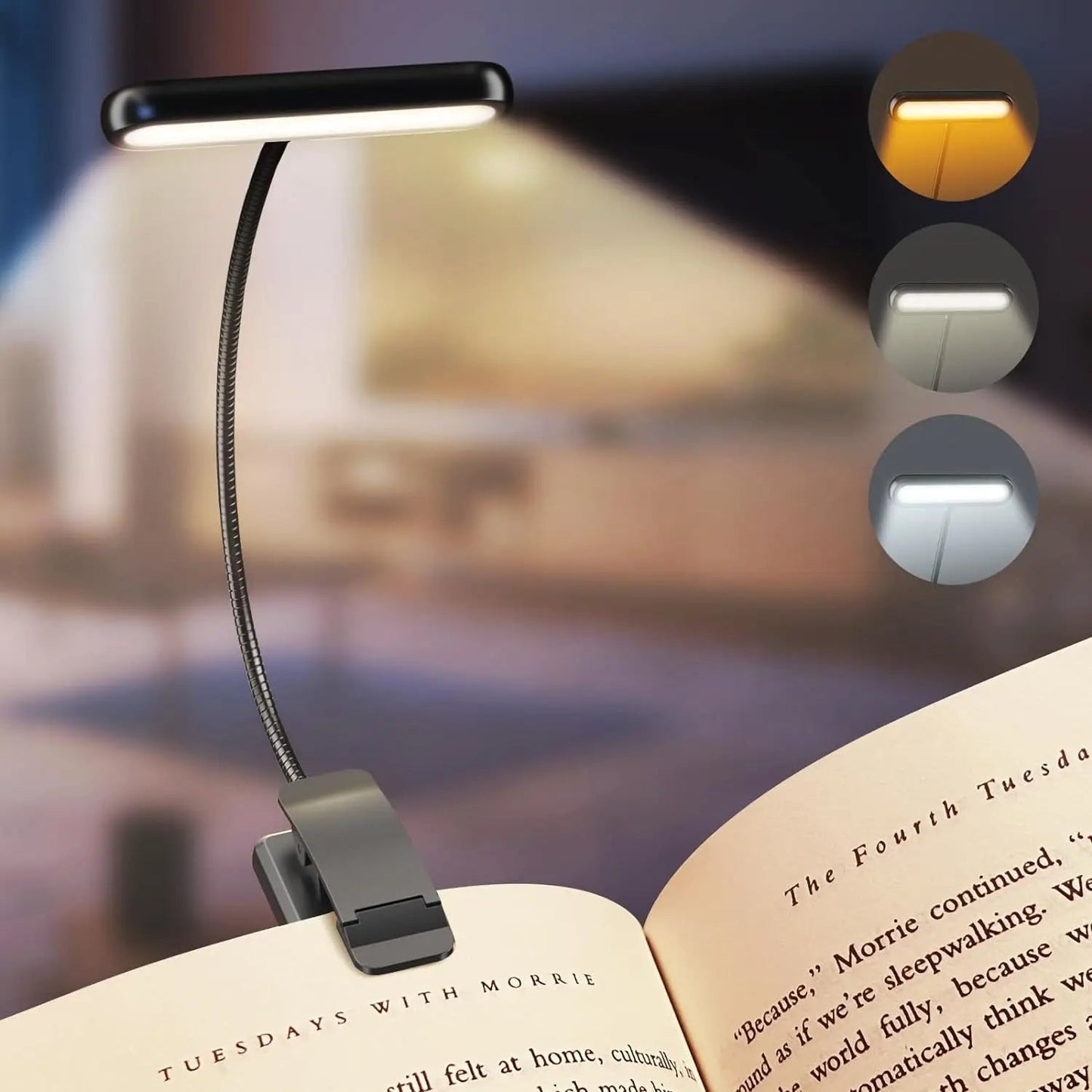 LED Book Light